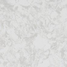 Pelican White